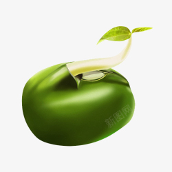 绿色豆子一颗正在发芽的绿豆高清图片