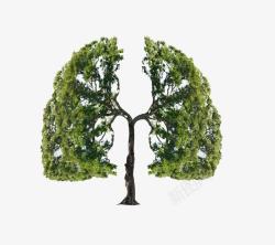 肺部器官绿色树木清新肺部高清图片