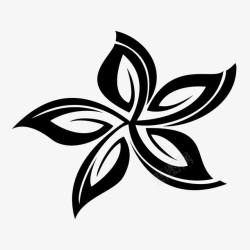 黑白抽象无框画植物花纹花朵花纹高清图片