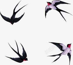 飞翔的燕子小燕子飞翔矢量图高清图片