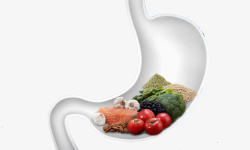 肠胃健康健康肠胃蔬菜瓜果高清图片