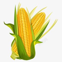 卡通玉米玉米高清图片