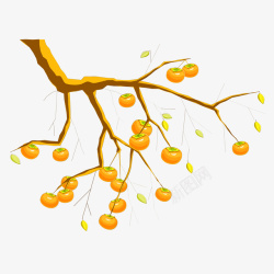 彩绘柿子果霜降节气柿子果柿子树装饰高清图片