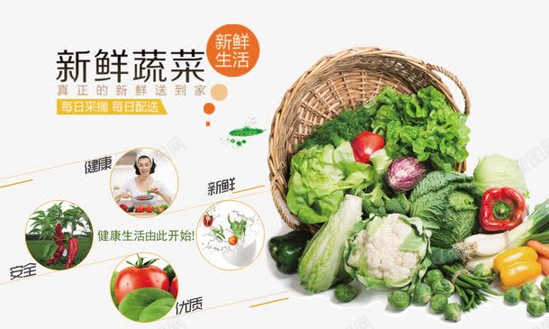 新鲜蔬菜宣传展板png免抠素材_新图网 https://ixintu.com 宣传展板 新鲜蔬菜 设计 鲜蔬菜宣传展板