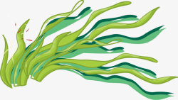 一丛海草世界海洋日舞动的海草高清图片