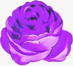 紫色玫瑰展板素材