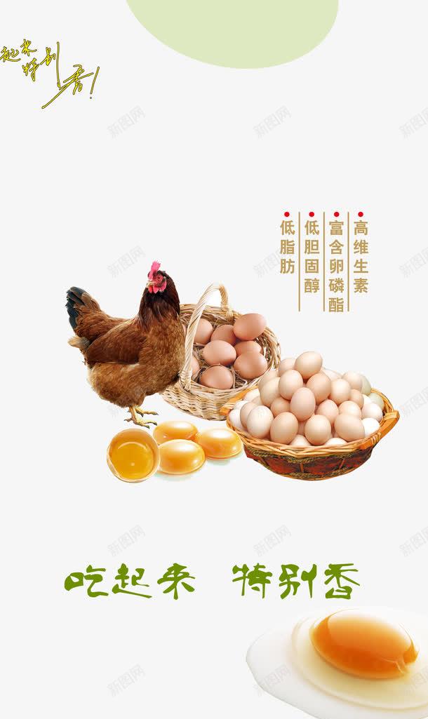 新鲜野鸡蛋背景png免抠素材_新图网 https://ixintu.com 新鲜 素材背景 美食