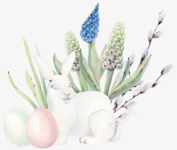 粉色多肉植物手绘多肉植物和兔子高清图片