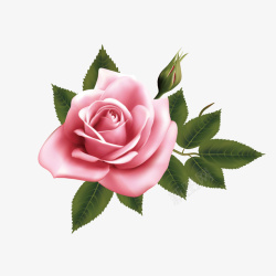 粉色绿叶玫瑰花图案手绘粉色玫瑰花高清图片