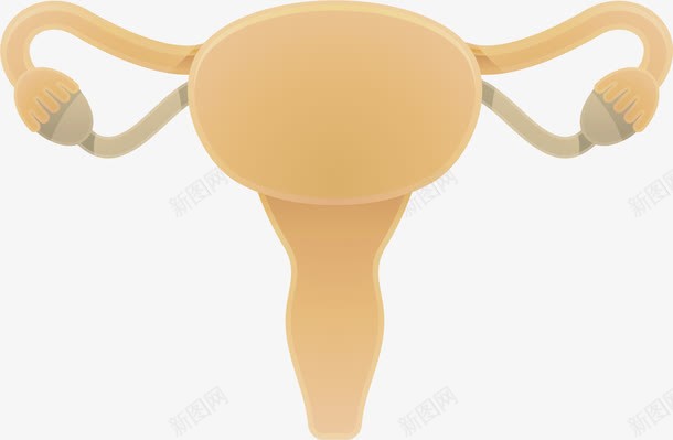 人体的器官卡通医药png免抠素材_新图网 https://ixintu.com 人体 器官 生物医药 生物医药产业 生物医药展板 生物医药广告 生物医药整容