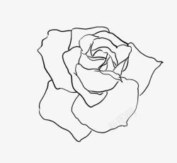 玫瑰花卡片设计线描玫瑰花高清图片