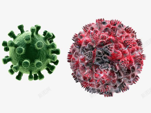 放大的细菌png免抠素材_新图网 https://ixintu.com 实验 放大 科学 红色 细菌 绿色