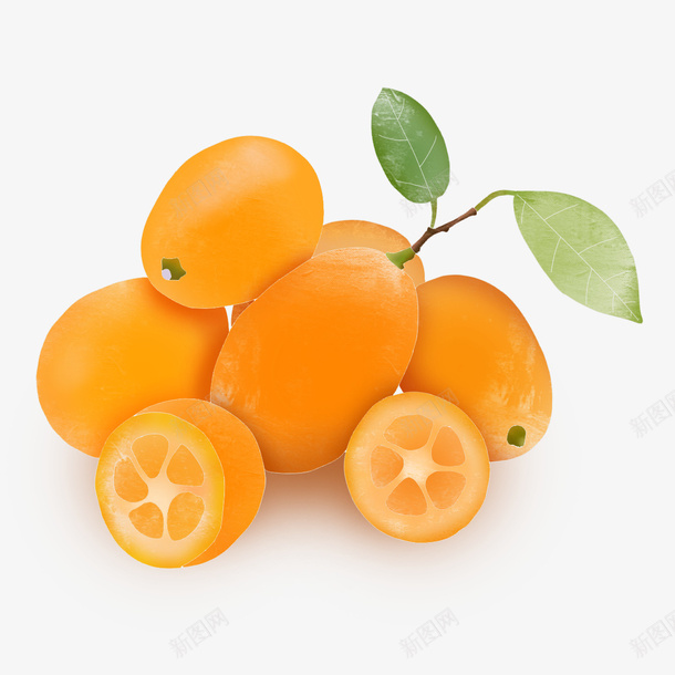 美味的水果柠檬橙子png免抠素材_新图网 https://ixintu.com 免扣 手绘 橙子 水果