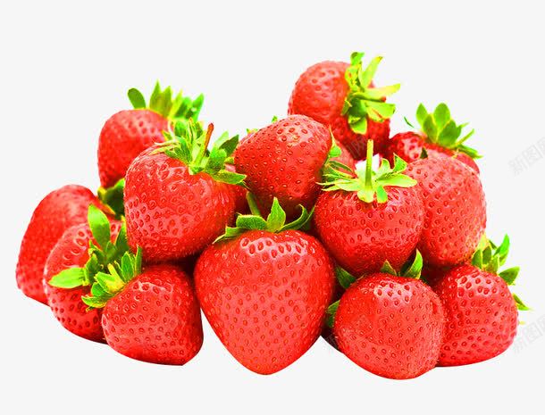 一堆红草莓采摘png免抠素材_新图网 https://ixintu.com 一堆 草莓 草莓水果 草莓采摘 食物