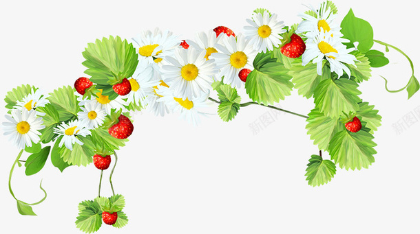 草莓植物花朵雏菊png免抠素材_新图网 https://ixintu.com 植物素材 绿色植物 花朵 边框装饰