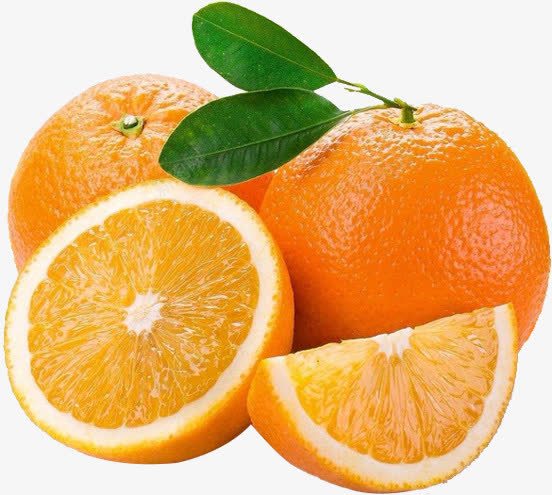 新鲜水果橘子png免抠素材_新图网 https://ixintu.com 新鲜 橘子 水果
