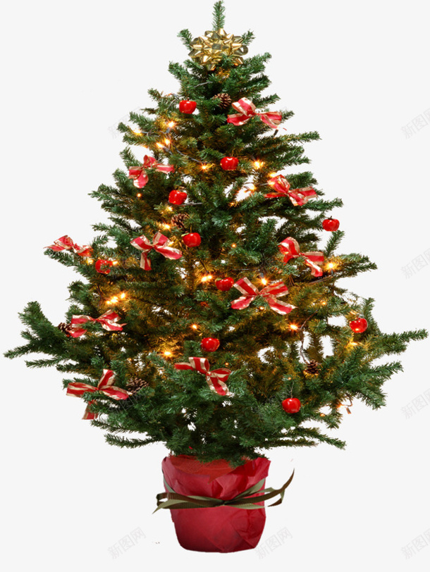 圣诞圣诞树4png免抠素材_新图网 https://ixintu.com 圣诞树 圣诞节 植物 素材