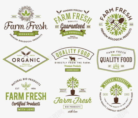 绿色健康食物图标图标