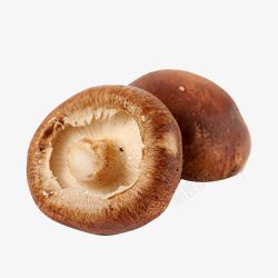 产品实物菌菇养生面两个香菇高清图片