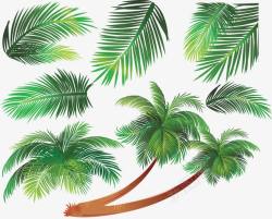 卡通手绘椰子树和游艇一棵椰子树高清图片