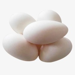 圆形蛋蛋白色鹅蛋高清图片