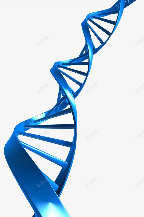 DNApng免抠素材_新图网 https://ixintu.com DNA双螺旋结构图片 dna 医学 医疗 素材