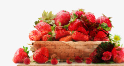 草莓园美味草莓小清新拼接粉色背景高清图片