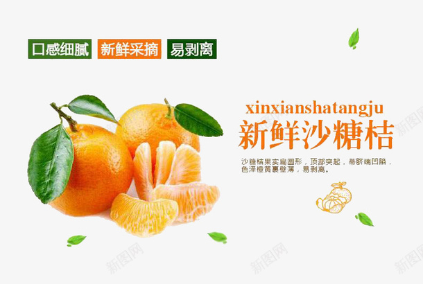 砂糖橘png免抠素材_新图网 https://ixintu.com 实物 水果 砂糖橘 素材