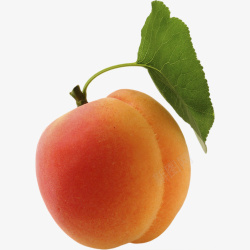 橙色桃子可口水蜜桃产品实物高清图片