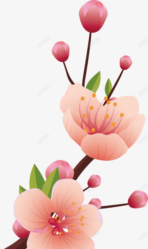 美丽的花png免抠素材_新图网 https://ixintu.com 春天 春天小清晰 春天植物 春天矢量 春天装饰 植物 美丽的花