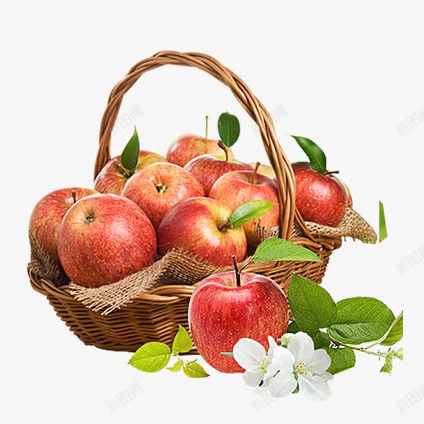 进口生鲜水果一篮子苹果png免抠素材_新图网 https://ixintu.com 一篮子苹果 水果 水果节 篮子 绿叶 苹果 苹果花