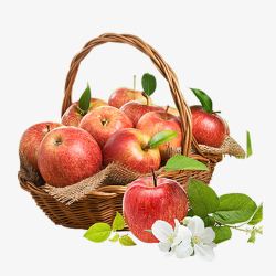 一篮子苹果卡通进口生鲜水果一篮子苹果高清图片