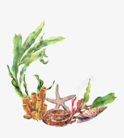 手绘海洋生物植物装饰素材