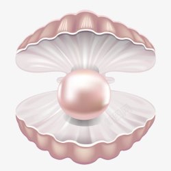 粉红珍珠粉色精美贝壳高清图片