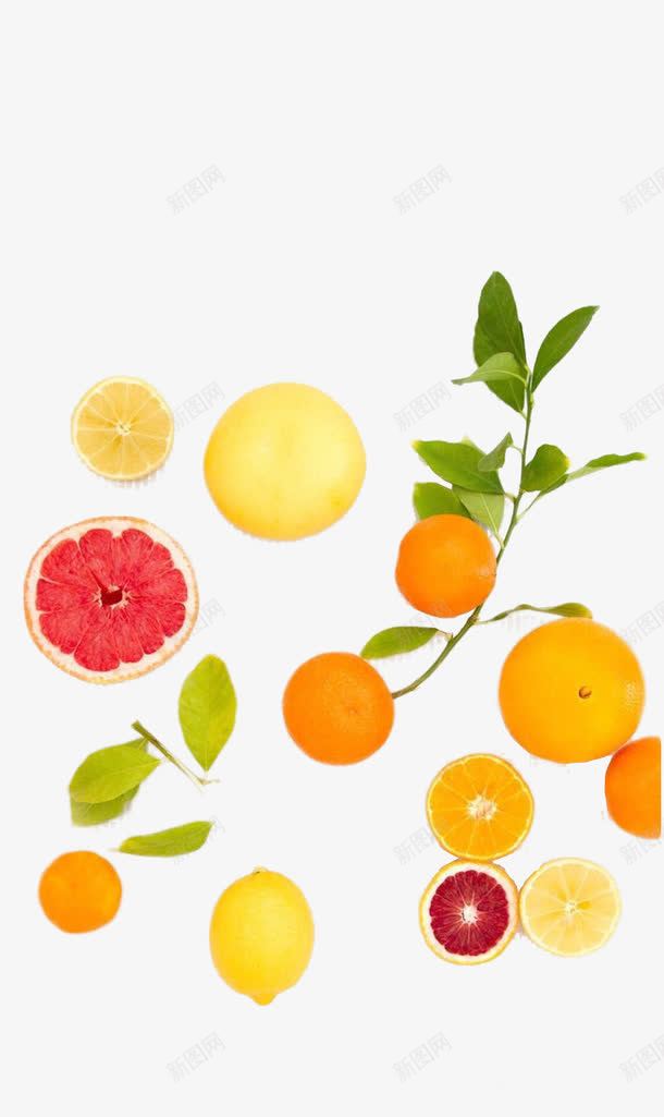 水果食材png免抠素材_新图网 https://ixintu.com 柚子 橘子 橙子 水果