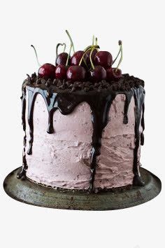 樱桃巧克力蛋糕png免抠素材_新图网 https://ixintu.com 休闲 巧克力 樱桃 生日 美食 蓝莓 蛋糕