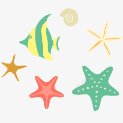 沙滩海星螺壳彩色海星和海鱼插画矢量图高清图片