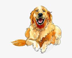跳跃的狗水彩插画可爱的金毛高清图片