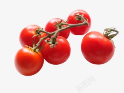 减肥食品小西红柿高清图片