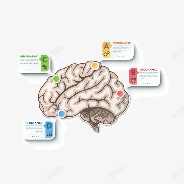 大脑信息图png免抠素材_新图网 https://ixintu.com 信息图 大脑 字母分类图