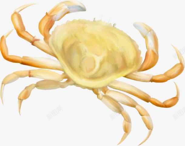 水彩螃蟹png免抠素材_新图网 https://ixintu.com 夏天 夏季 彩绘 水彩 沙滩 螃蟹