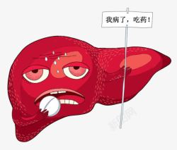 肺部器官图卡通肝部高清图片