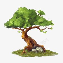 松树树干素材树根旁的石头高清图片