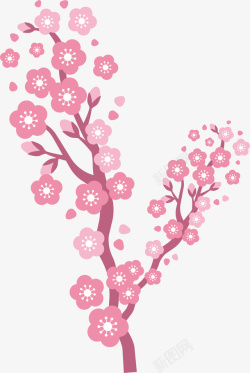 漂亮的樱花创意粉色樱花花朵花骨朵高清图片