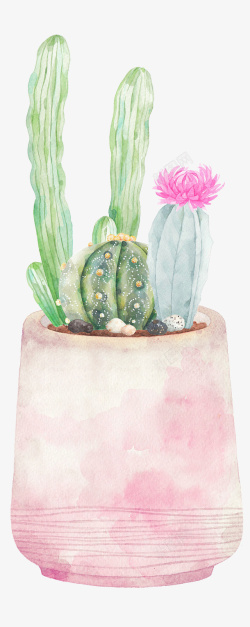 粉色盆子手绘可爱仙人掌盆栽高清图片