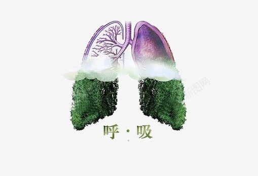 呼吸的肺png免抠素材_新图网 https://ixintu.com 吸的肺部 手绘沙漏 空气污染 肺部创意 讽刺漫画 雾霾沙漏 雾霾素材