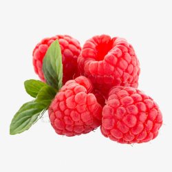 树莓果实红色水果高清图片