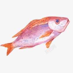 红色绘画鱼类图案素材