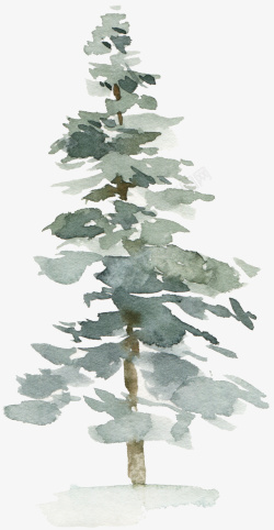 绘画松树素材唯美简约的水彩树木高清图片