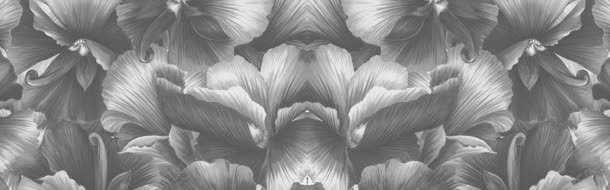 黑白质感花朵海报背景背景